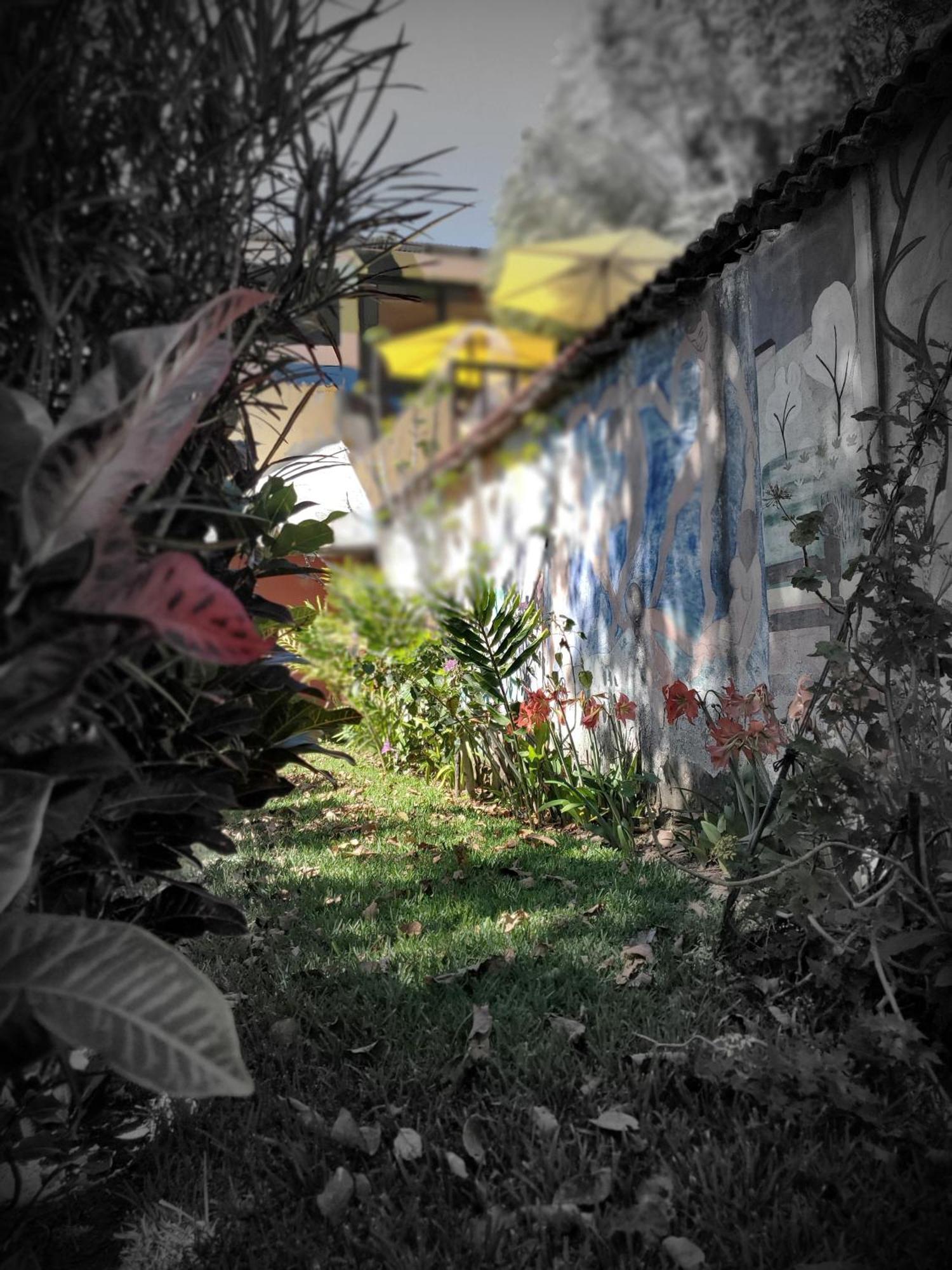Art & Coffee Hotel Santa Cruz La Laguna Ngoại thất bức ảnh